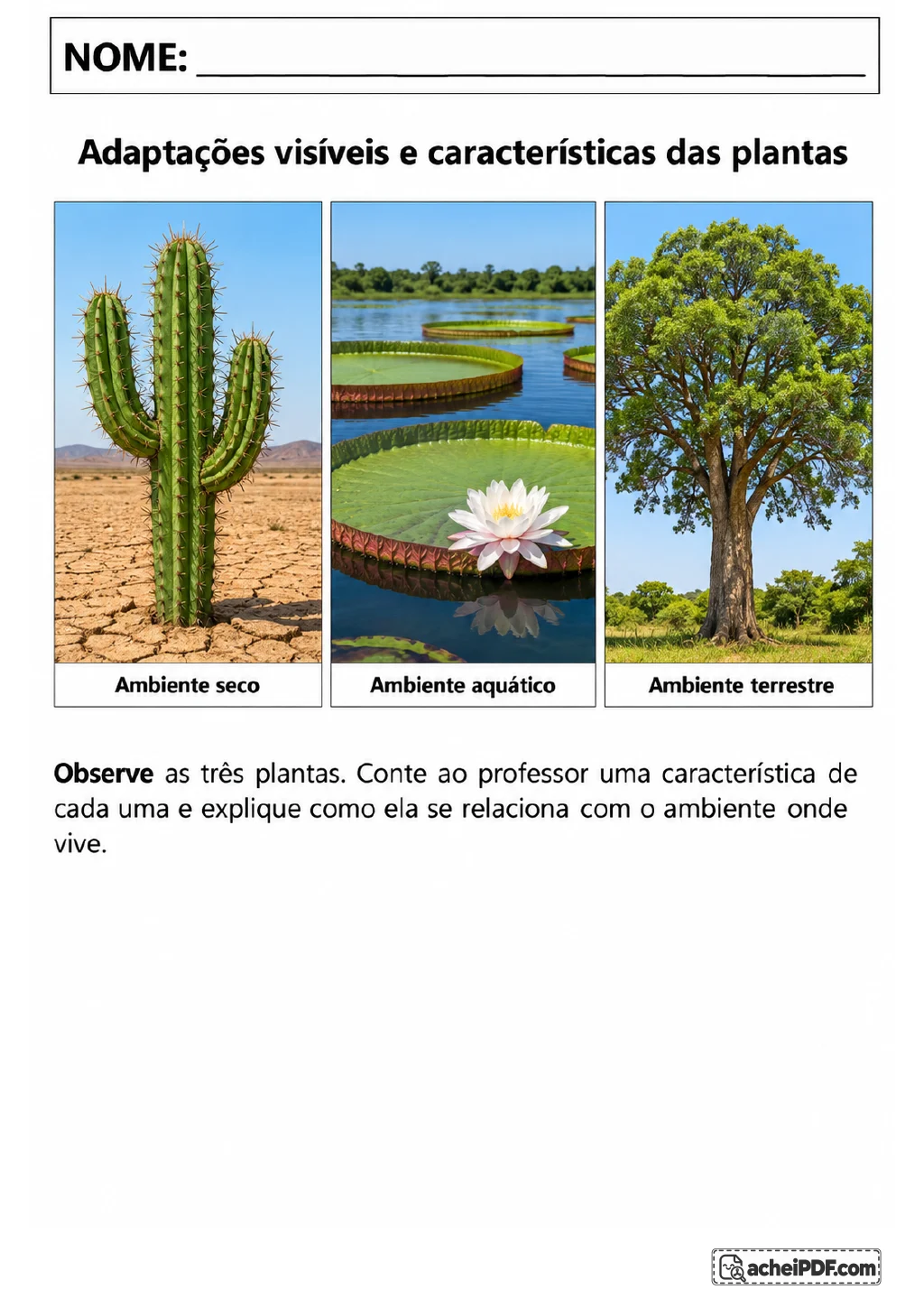 Três painéis mostram um cacto em ambiente seco, uma vitória-régia em ambiente aquático e uma árvore em ambiente terrestre.