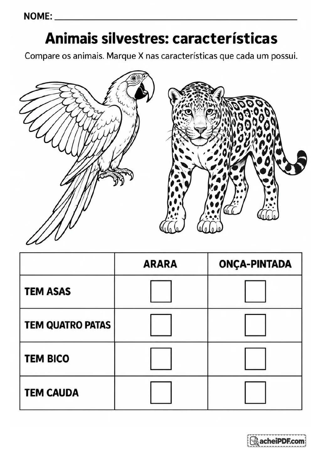 Desenhos de uma arara e uma onça-pintada acima de tabela com as linhas asas, quatro patas.