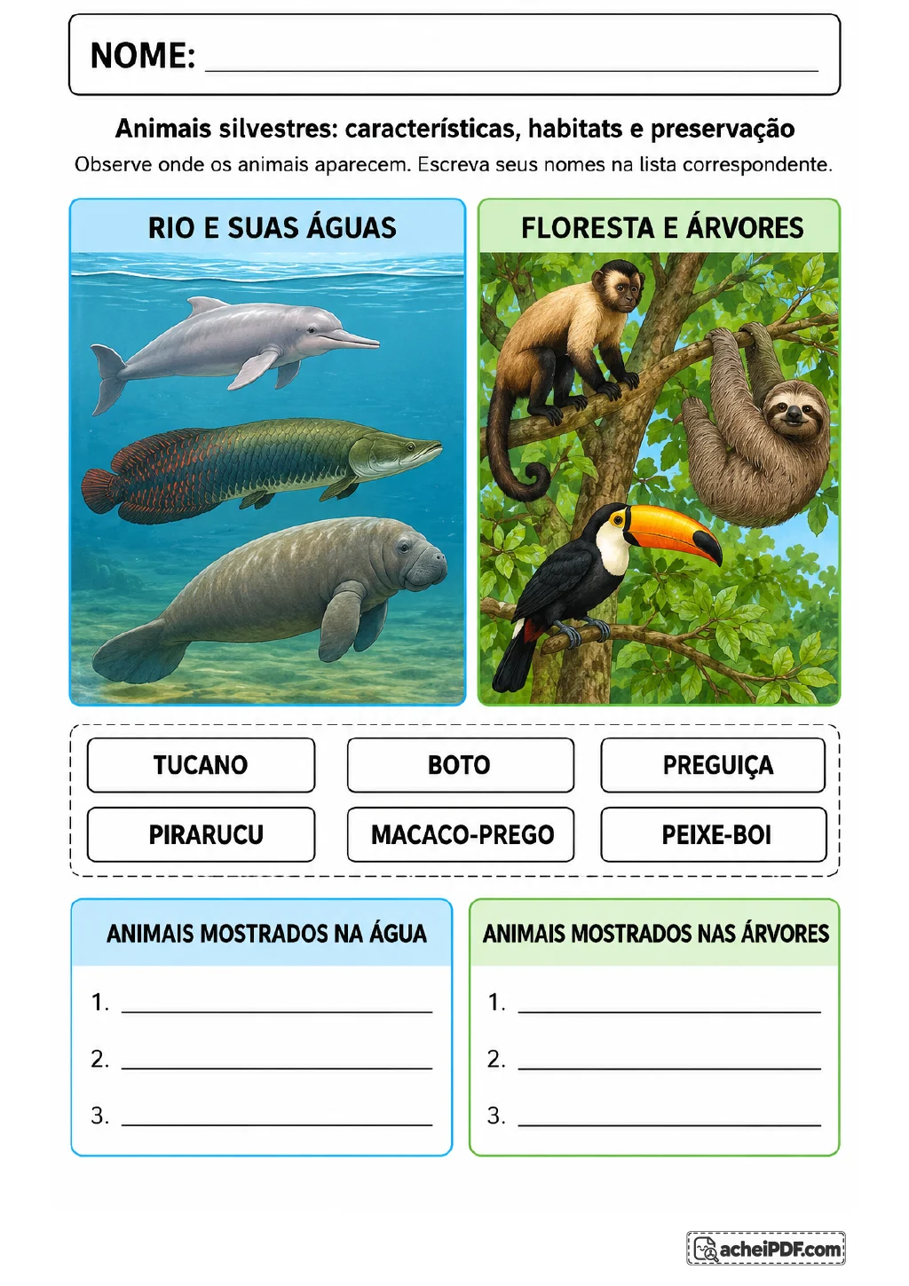 Dois cenários coloridos, um rio e árvores da floresta, com banco de palavras contendo boto, pirarucu, peixe-boi, tucano.
