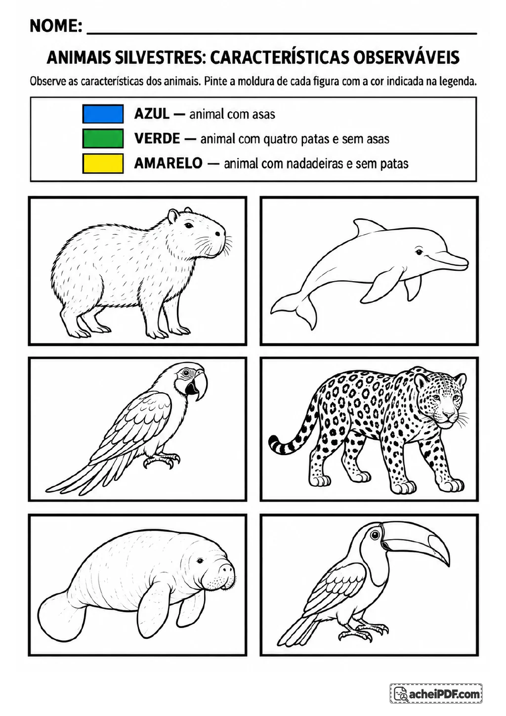 Legenda com três cores para animal com asas, quatro patas ou nadadeiras e seis molduras com capivara, golfinho, papagaio.