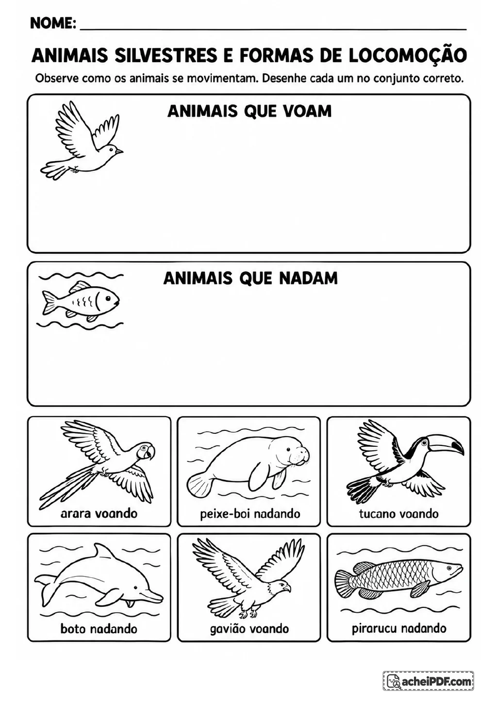 Cartões com arara, tucano, gavião, peixe-boi, boto e pirarucu ao lado de dois quadros: animais que voam e animais que nadam.