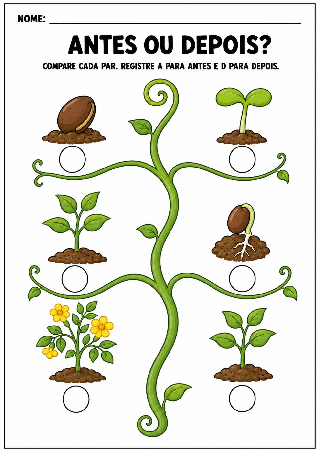 Três pares de imagens de semente, germinação, broto, planta e flores, com seis círculos para registrar A para antes.
