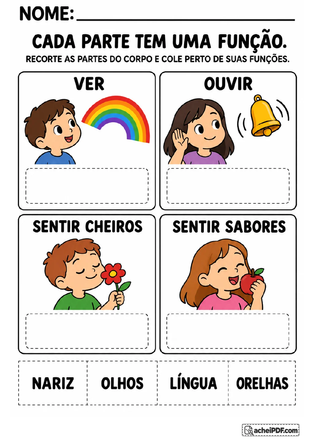 Quatro quadros associam arco-íris a ver, sino a ouvir, flor a sentir cheiros e maçã a sentir sabores.