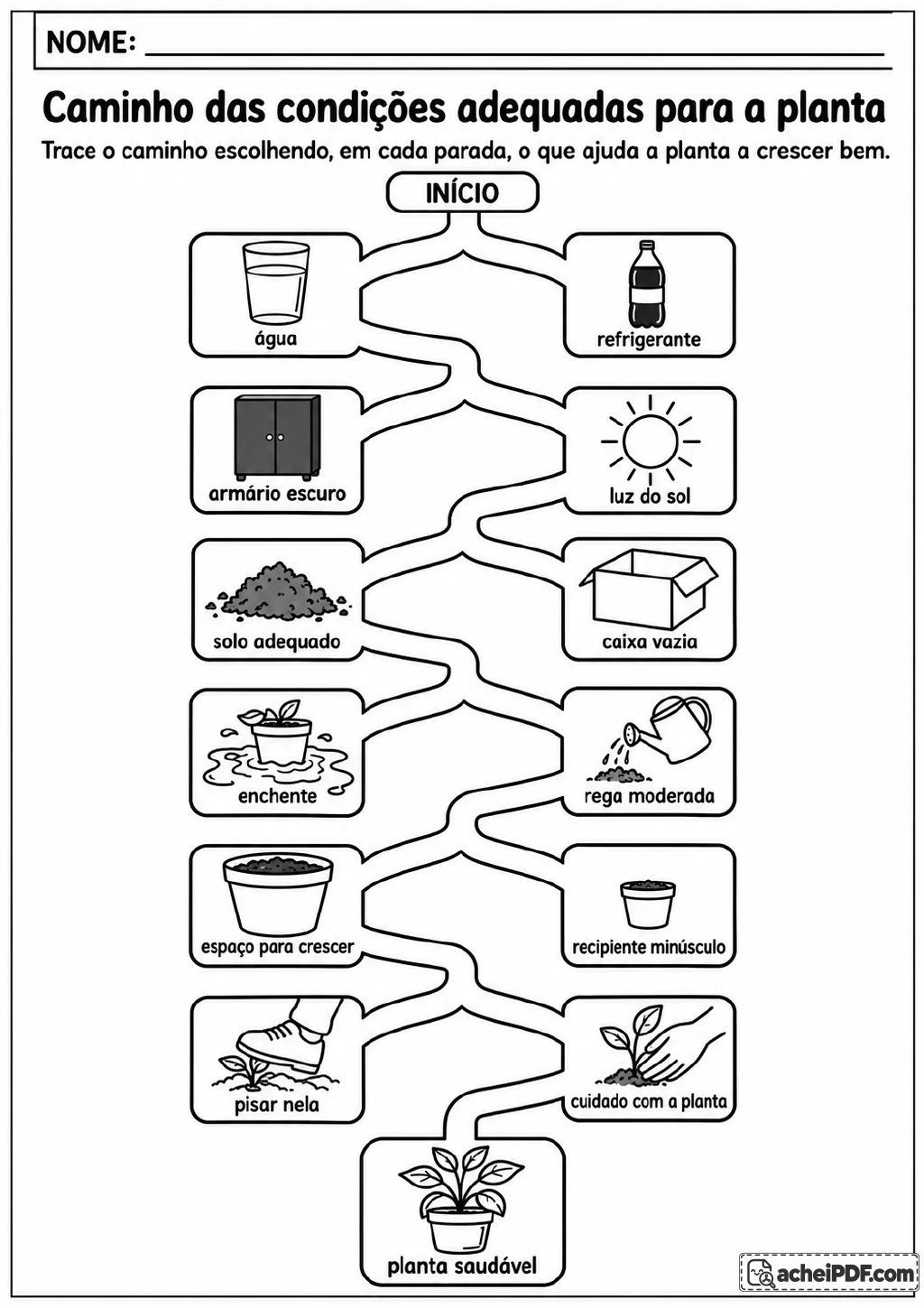 Percurso ramificado em preto e branco que começa em “Início” e termina em “planta saudável”, com opções como água.