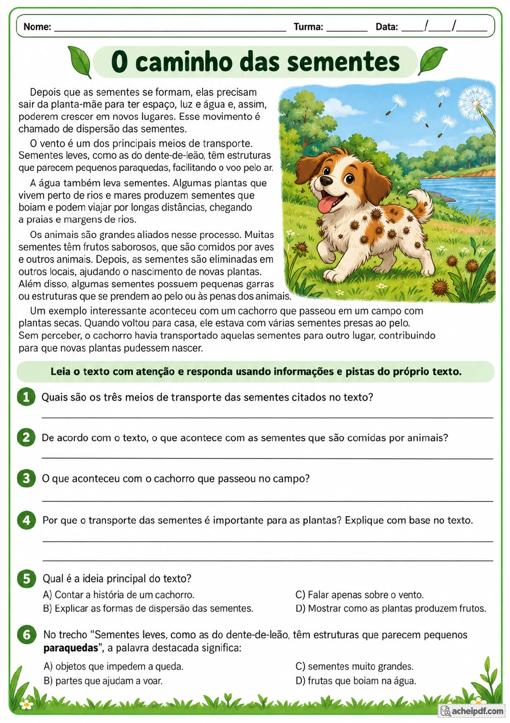 Cachorro com sementes presas ao pelo perto de um rio, acompanhado de texto sobre a dispersão de sementes pelo vento.