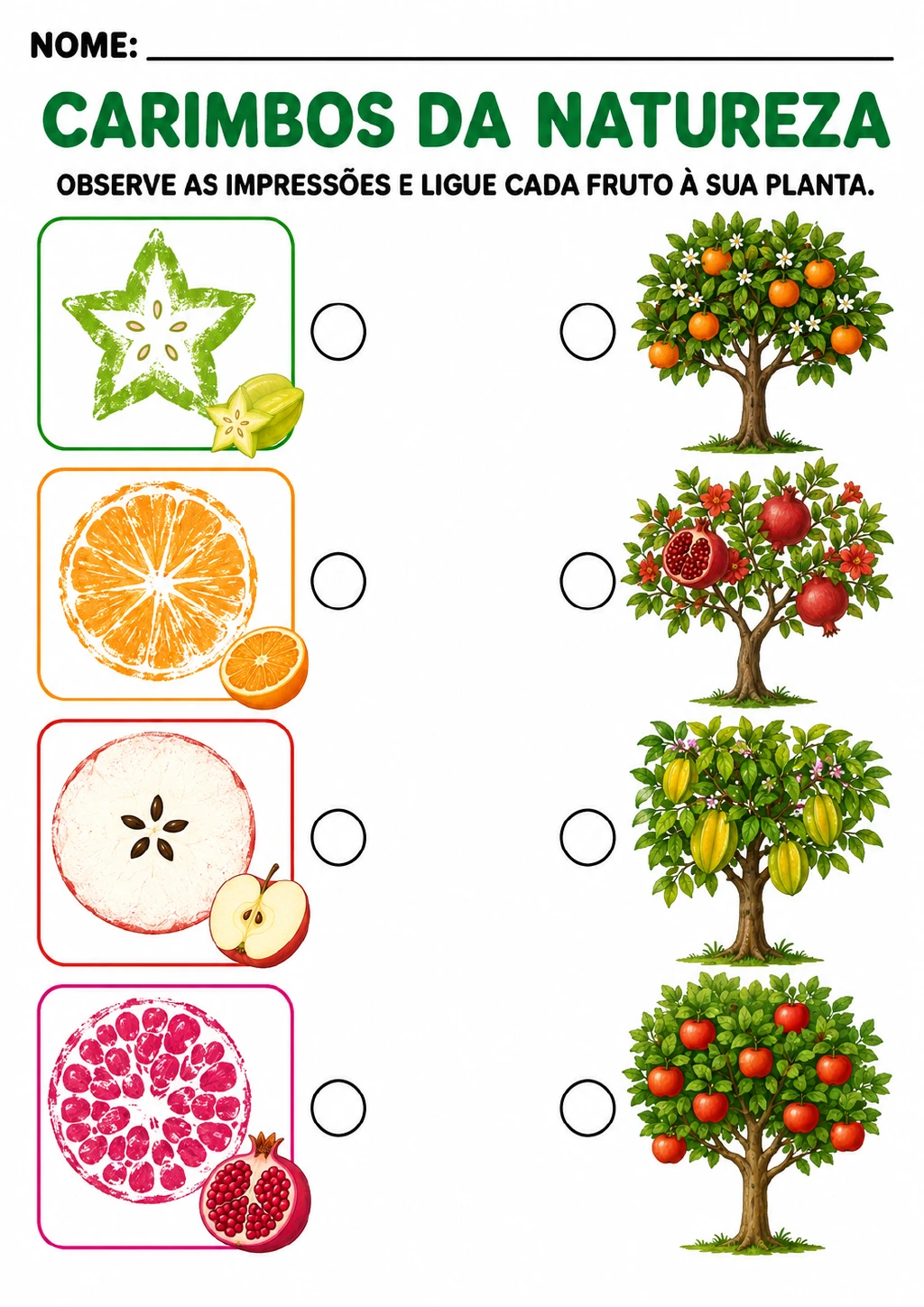 Quatro caixas coloridas com impressões de carambola, laranja, maçã e romã aparecem junto a quatro árvores frutíferas.