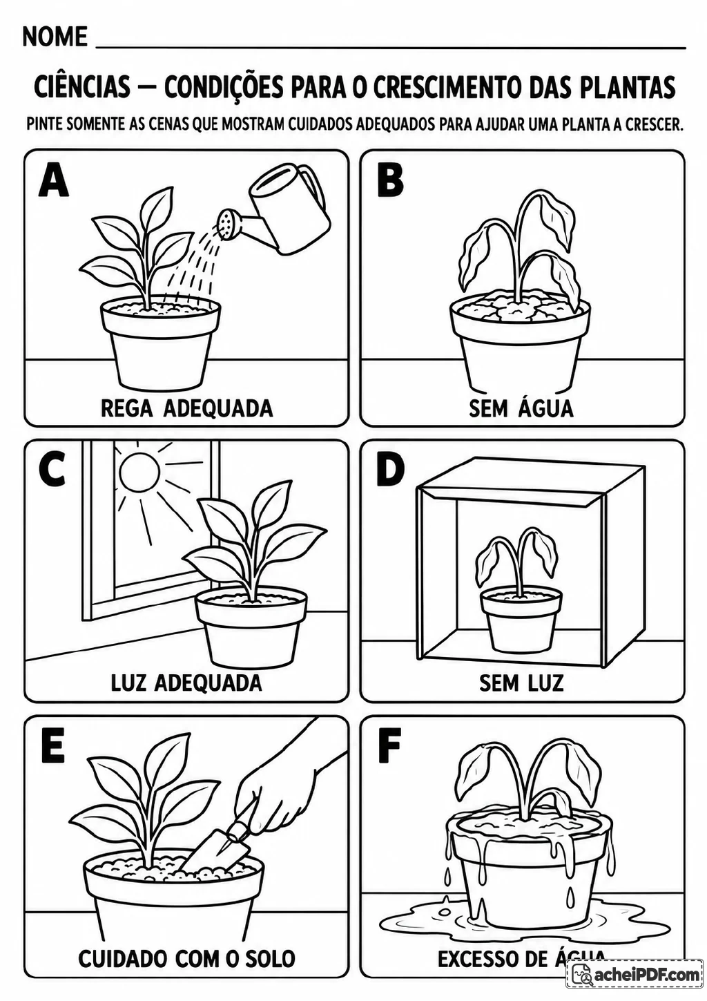 Seis cenas, identificadas de A a F, mostram rega adequada, planta sem água, luz solar, planta sem luz.