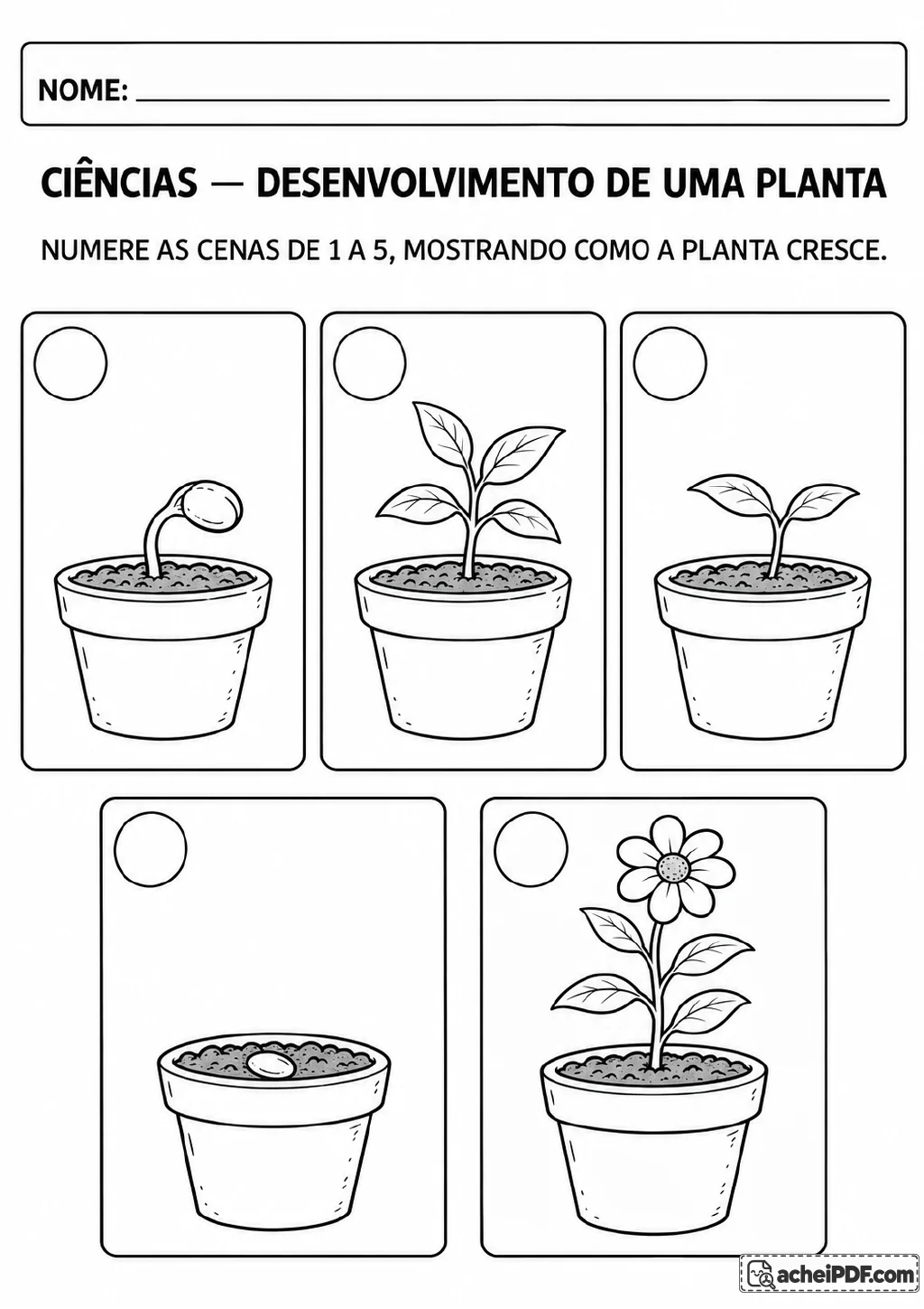 Cinco vasos mostram semente, broto, muda, planta com folhas e planta com flor. Cada cena tem um círculo para registrar sua.