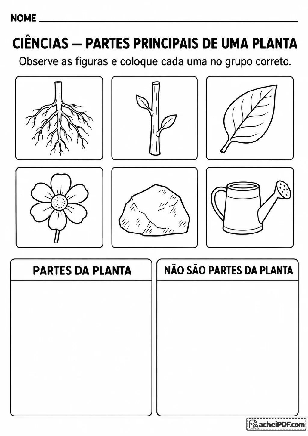 Seis desenhos de raiz, caule, folha, flor, pedra e regador acima de duas colunas com os títulos “Partes da planta”.