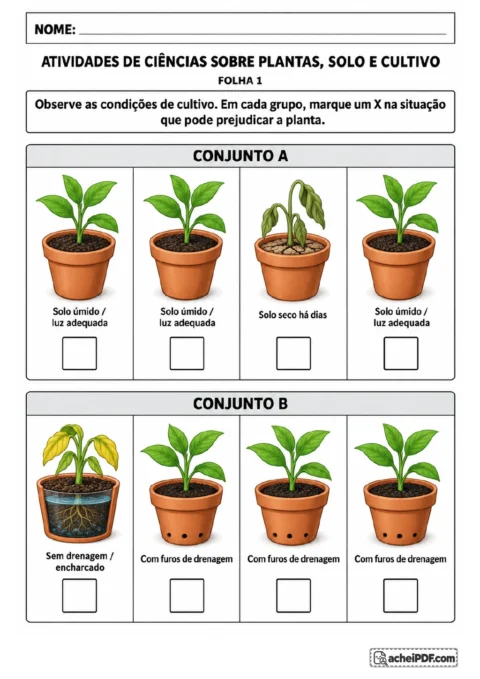 Dois conjuntos de quatro vasos com plantas, identificados como A e B, acompanhados de quadrados para marcação.