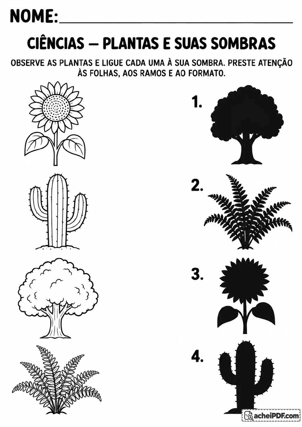 Girassol, cacto, árvore e samambaia em contorno aparecem ao lado de quatro sombras pretas numeradas de 1 a 4.