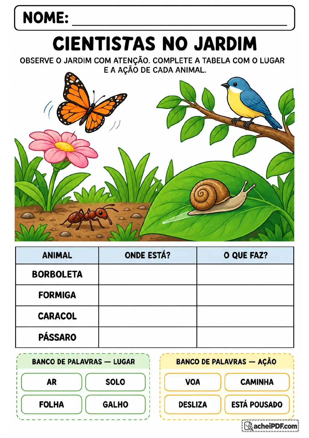 Cena de jardim com borboleta, formiga, caracol e pássaro para completar uma tabela de observação.