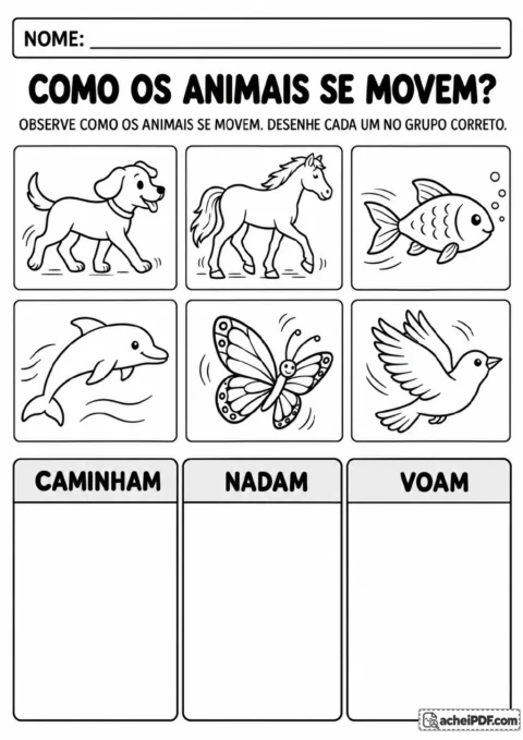 Cachorro, cavalo, peixe, golfinho, borboleta e pássaro para classificar a locomoção em três grupos.