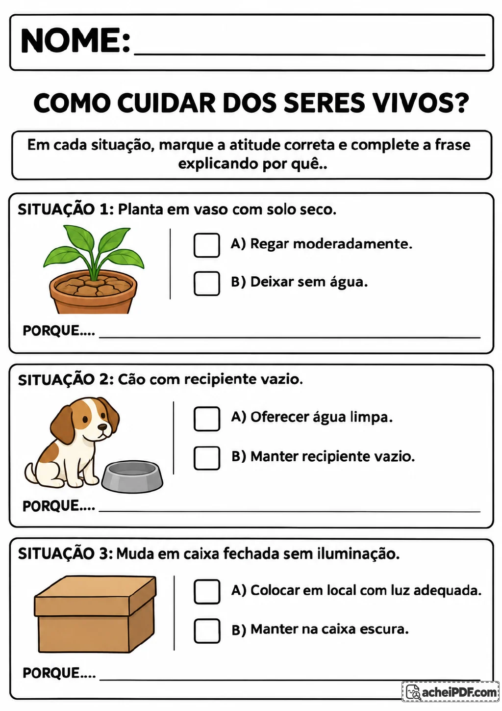 Planta em vaso com solo seco, cão ao lado de um recipiente vazio e muda em uma caixa fechada.