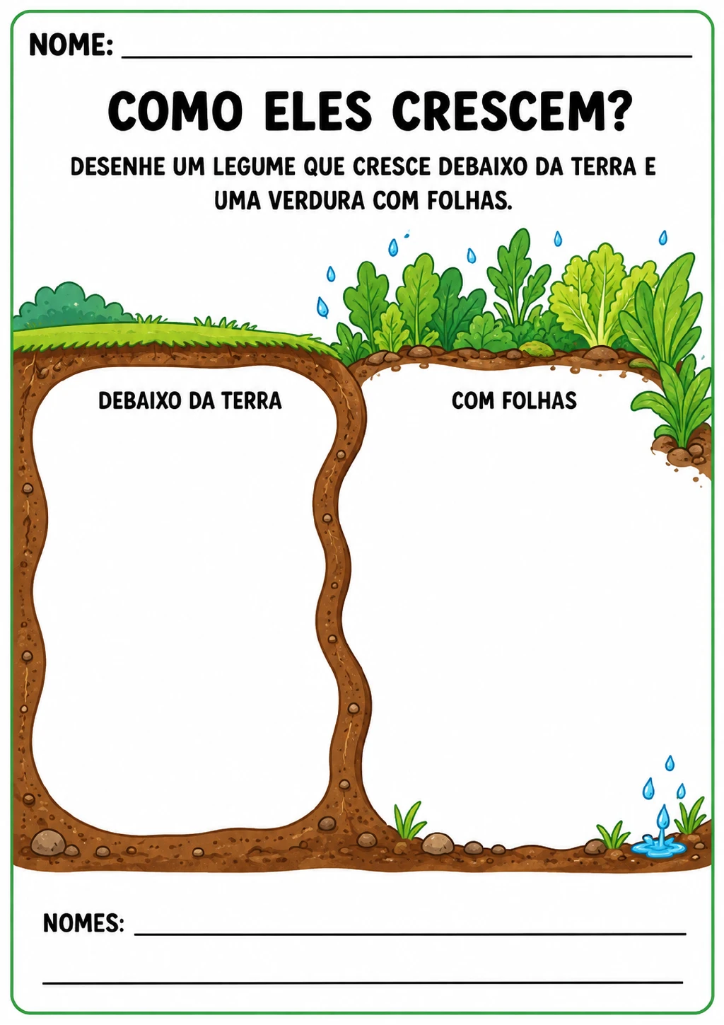 Dois campos de desenho identificados como “Debaixo da terra” e “Com folhas”, com linhas para escrever os nomes dos vegetais.