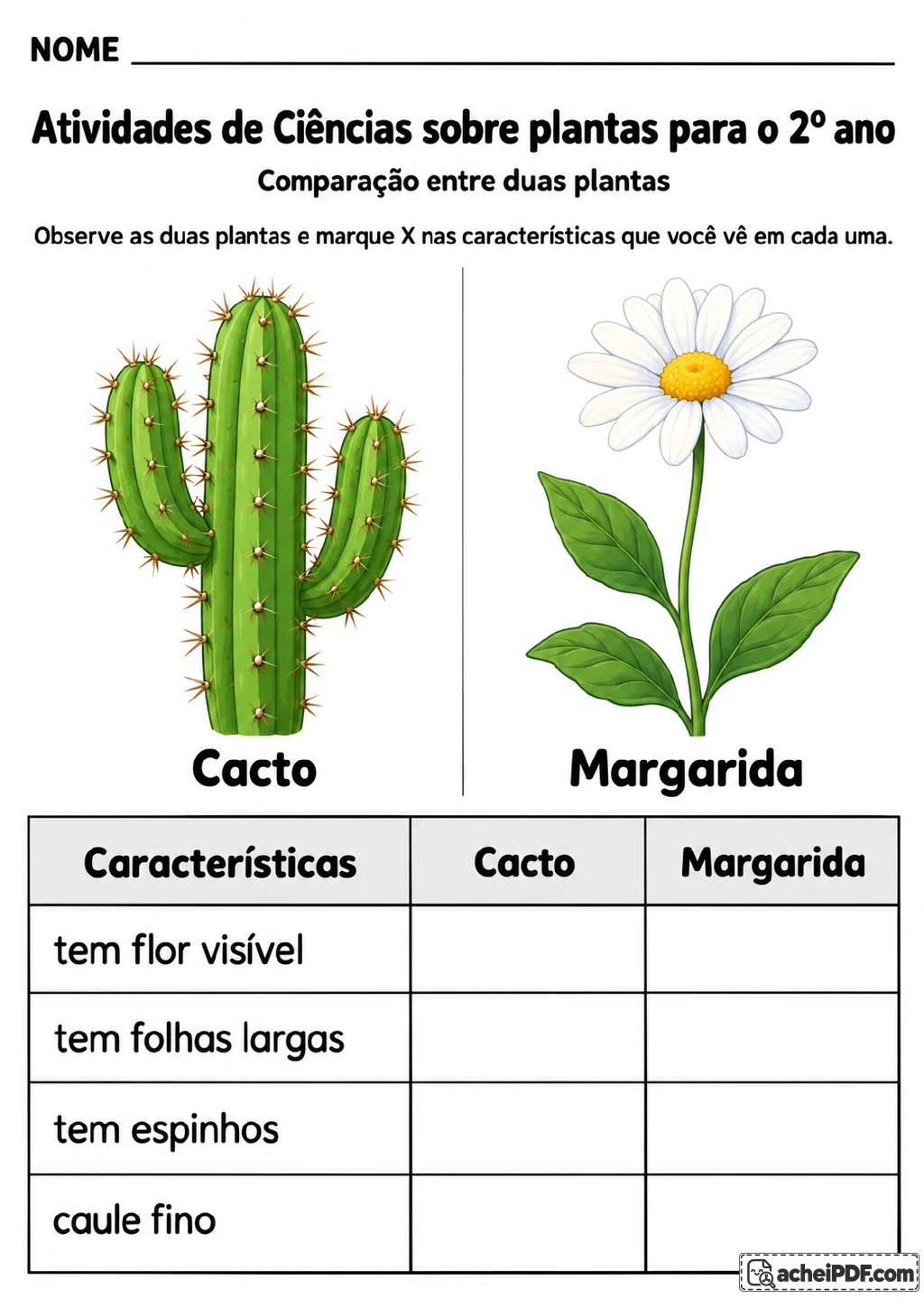 Ilustrações coloridas de um cacto e uma margarida ao lado de uma tabela com colunas para as duas plantas.