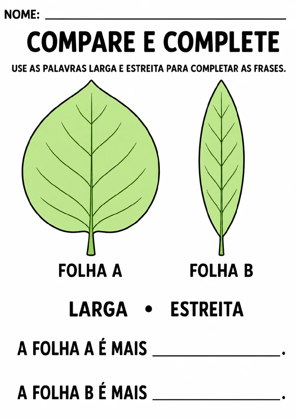 Duas folhas identificadas como Folha A e Folha B, uma larga e outra estreita, com as palavras larga e estreita.