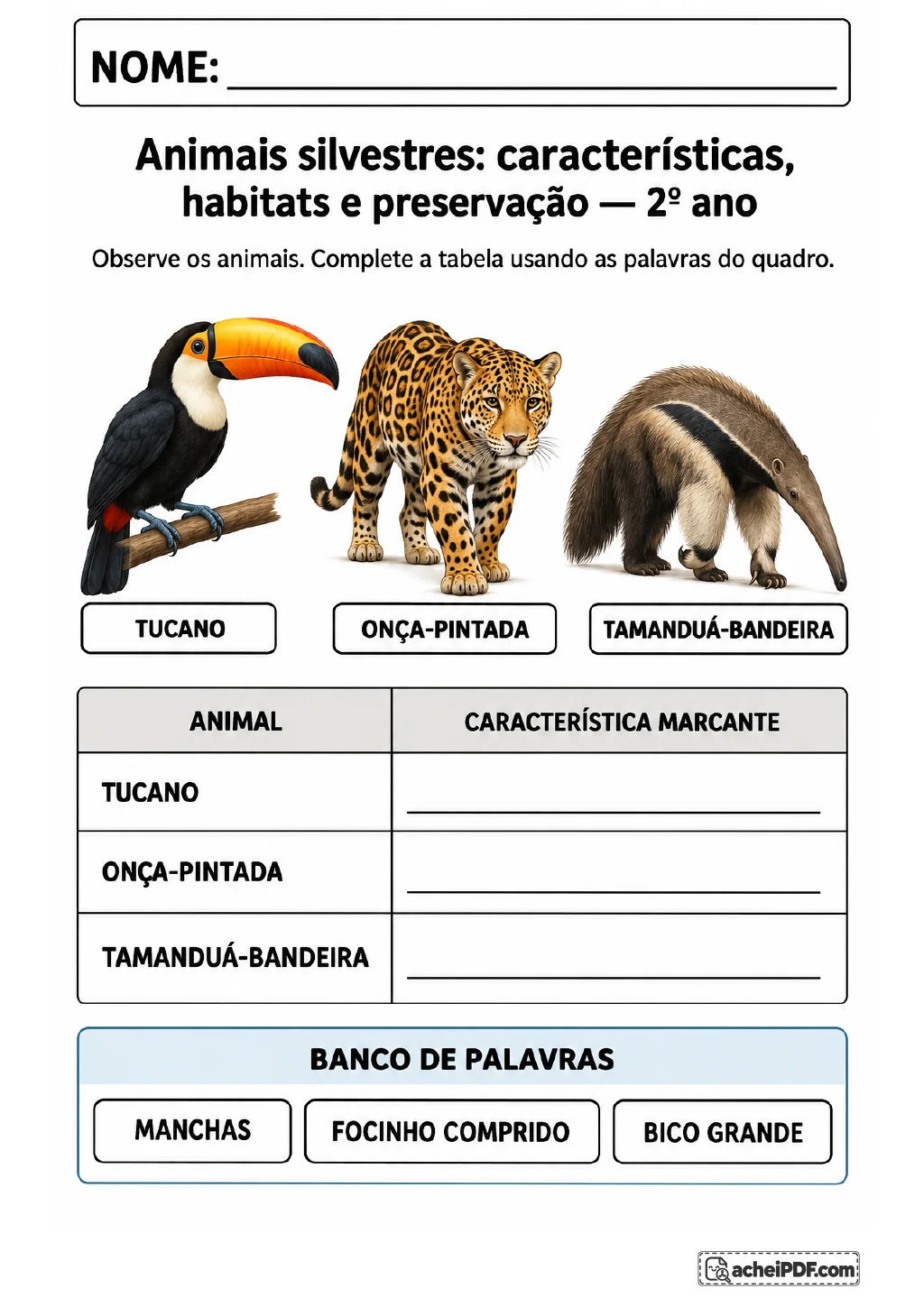Tabela com tucano, onça-pintada e tamanduá-bandeira ilustrados, linhas de resposta e banco de palavras com bico grande.