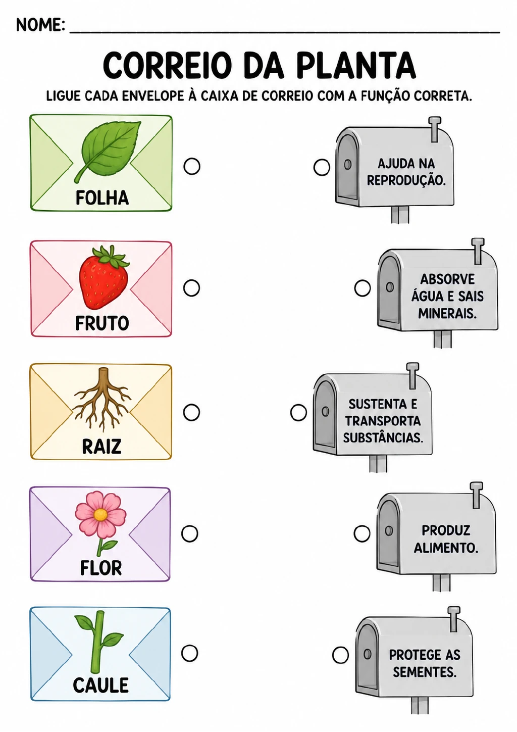 Cinco envelopes coloridos com folha, fruto em forma de morango, raiz, flor e caule aparecem ao lado de cinco caixas.