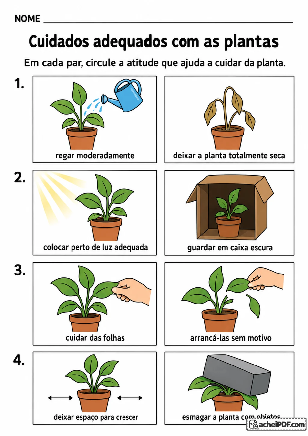 Quatro pares de ilustrações coloridas com plantas em vaso, incluindo rega moderada, luz do sol, cuidado das folhas.