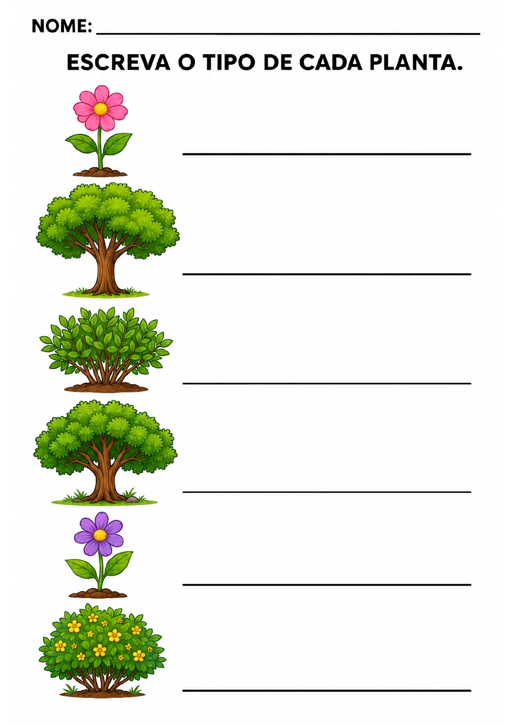 Seis plantas ilustradas, incluindo flores rosas e roxas, árvores e arbustos, com uma linha ao lado de cada desenho.