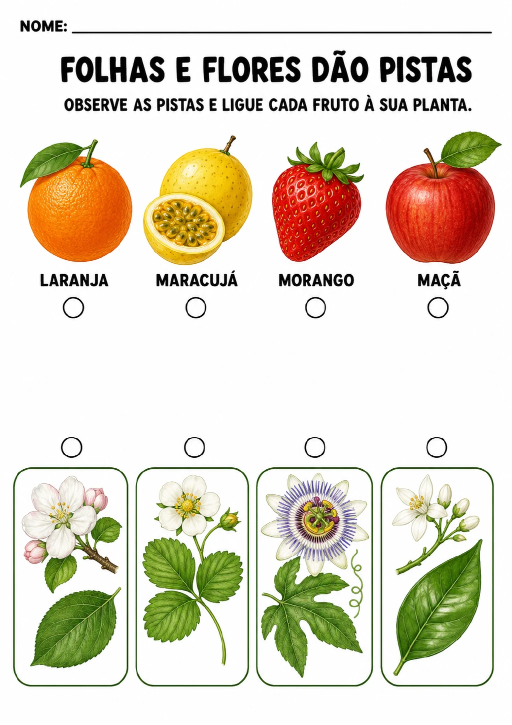 Laranja, maracujá, morango e maçã aparecem nomeados na parte superior, com quatro cartões de folhas.