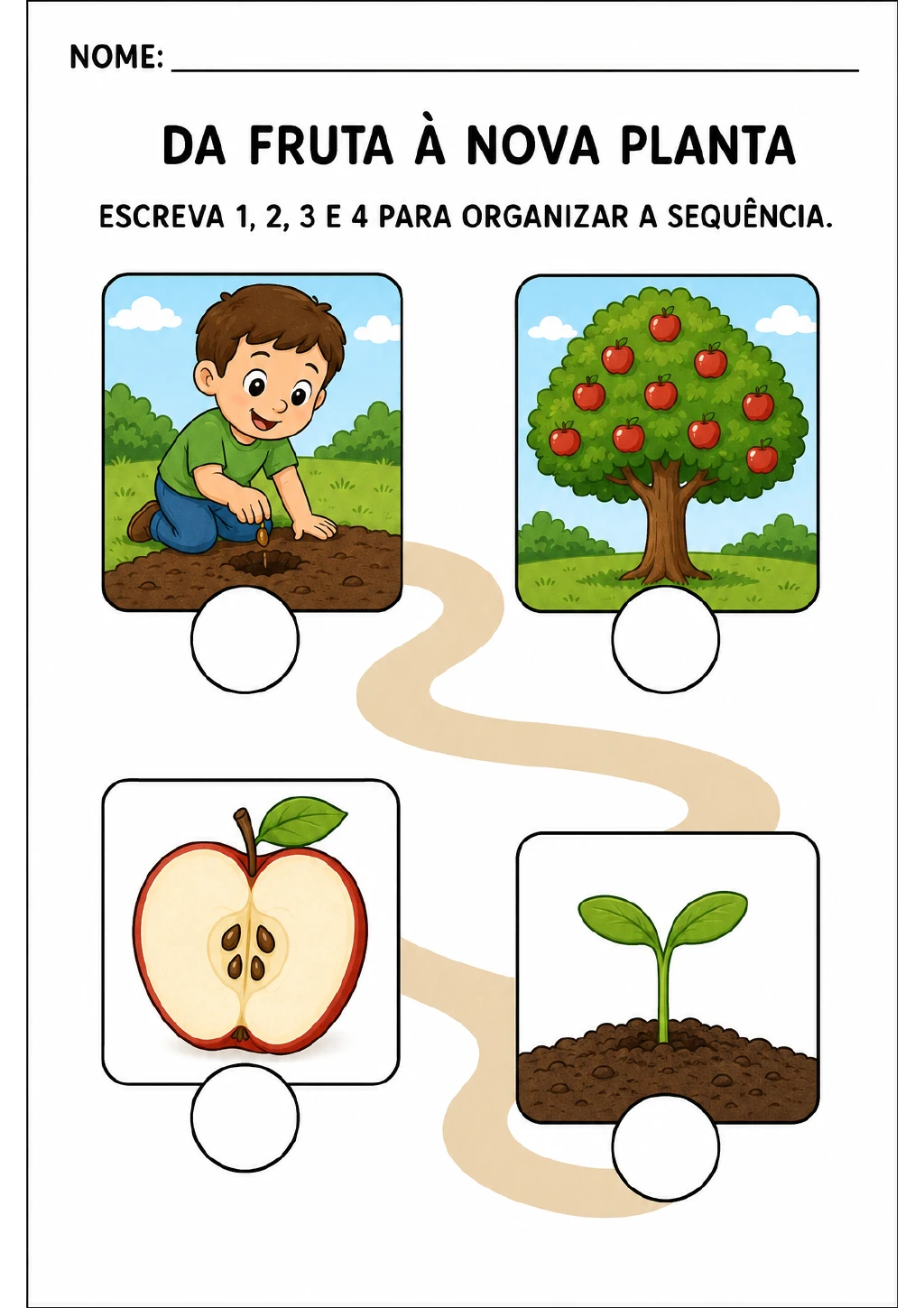 Quatro cenas para ordenar: macieira com maçãs, maçã com sementes, menino plantando no solo e broto.