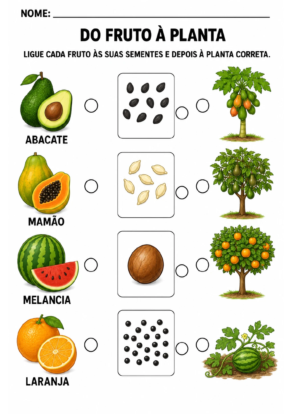 Três colunas para associação: abacate, mamão, melancia e laranja; quatro caixas com sementes; e abacateiro, mamoeiro.