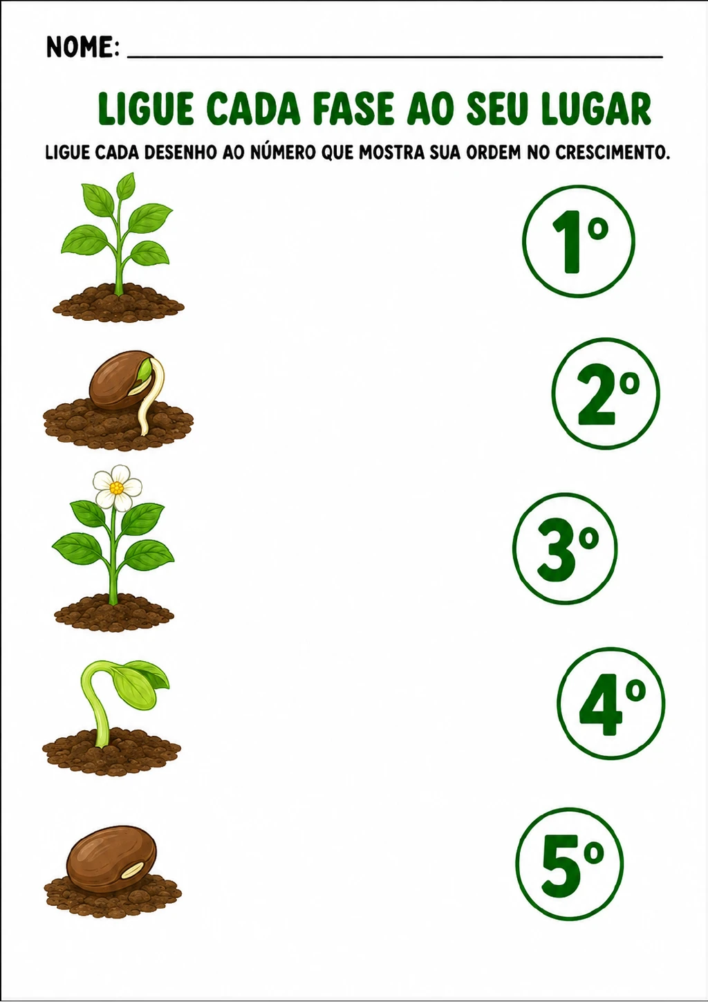 Desenhos de semente, germinação, broto, planta e planta com flor à esquerda, ao lado de círculos.