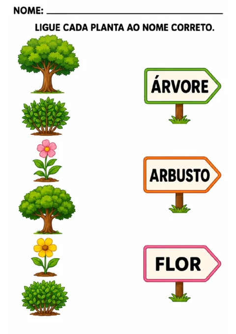 Duas árvores, dois arbustos e duas flores ao lado de três placas com as palavras árvore.