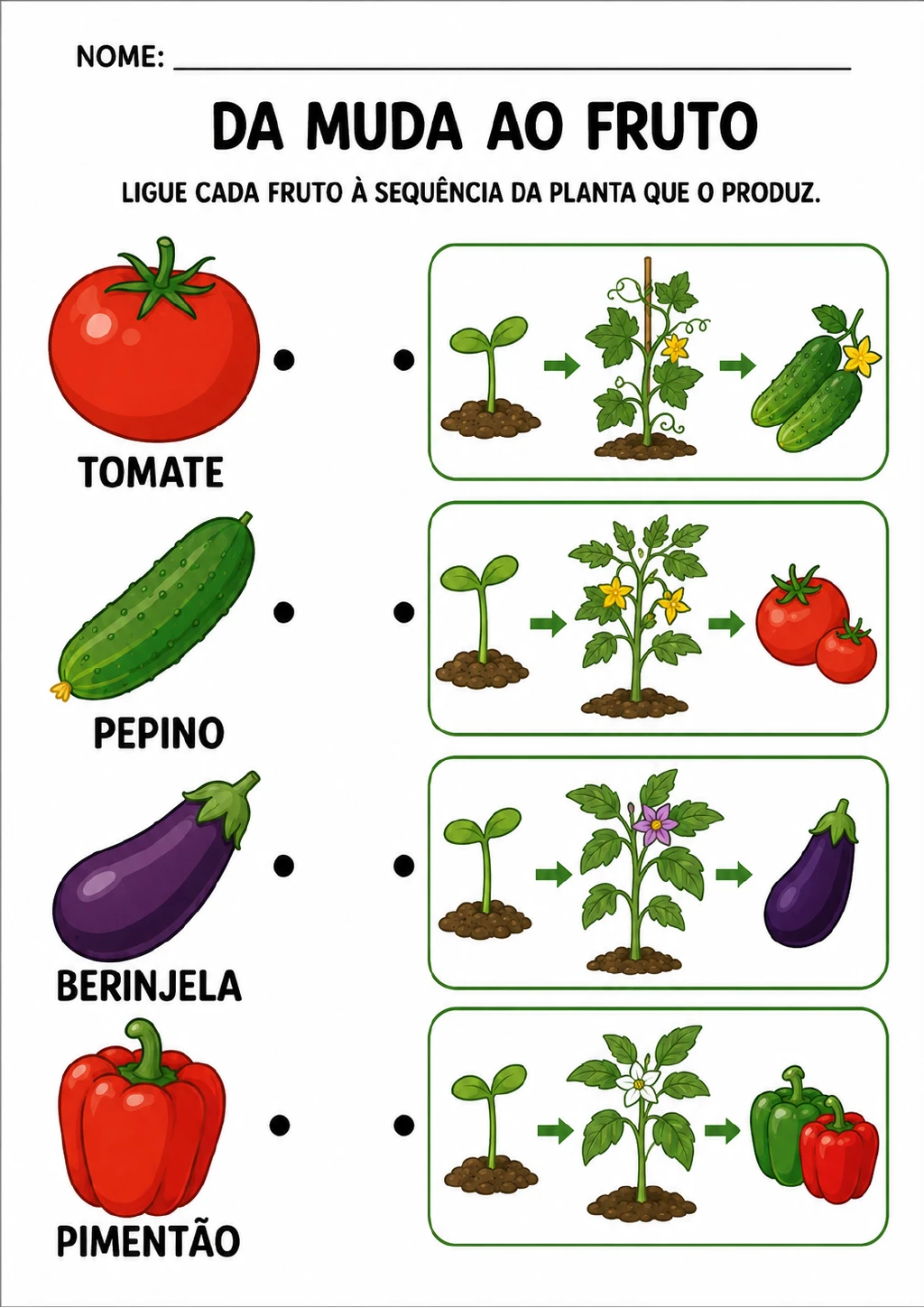 Tomate, pepino, berinjela e pimentão nomeados à esquerda e quatro quadros à direita com sequências de muda.