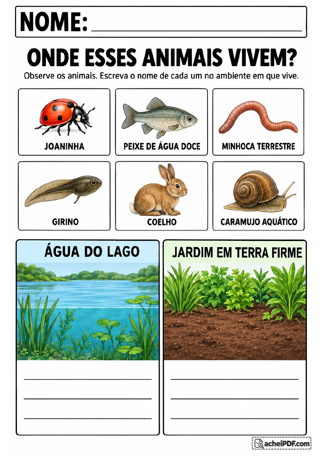 Cartões com joaninha, peixe de água doce, minhoca terrestre, girino, coelho e caramujo aquático.