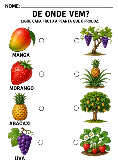 Duas colunas para associação: manga, morango, abacaxi e uva de um lado; mangueira, morangueiro.
