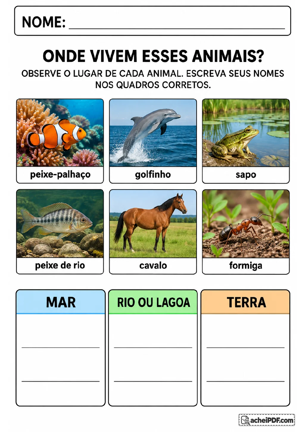 Fotos de peixe-palhaço, golfinho, sapo, peixe de rio, cavalo e formiga para classificar habitats.