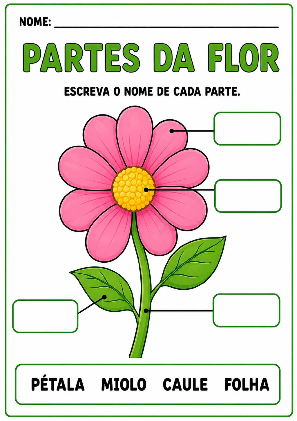 Flor com linhas apontando para pétala, miolo, folha e caule, quatro campos de resposta e um banco de palavras.