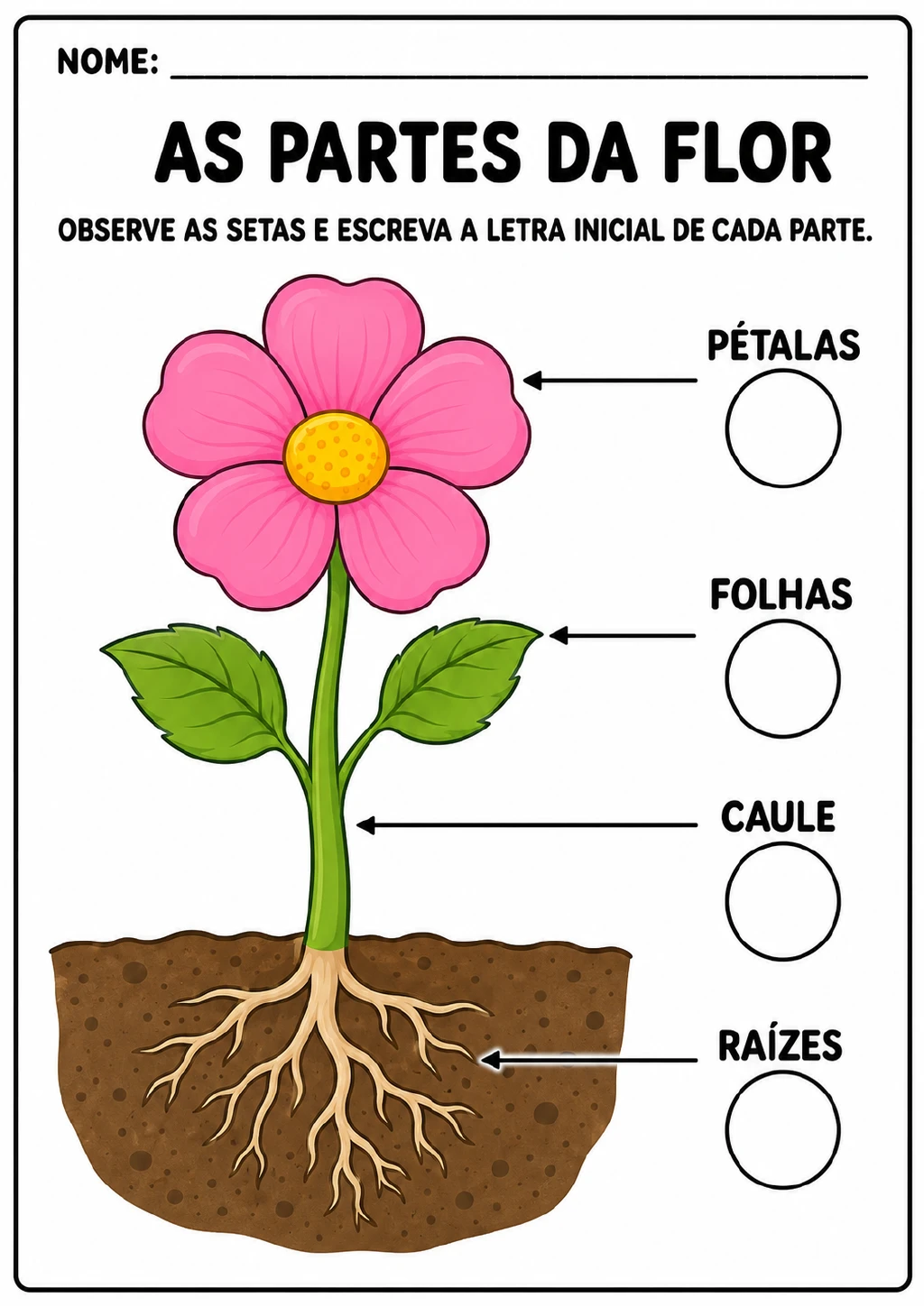 Flor rosa com duas folhas verdes e raízes visíveis sob o solo; setas apontam para pétalas, folhas, caule e raízes.
