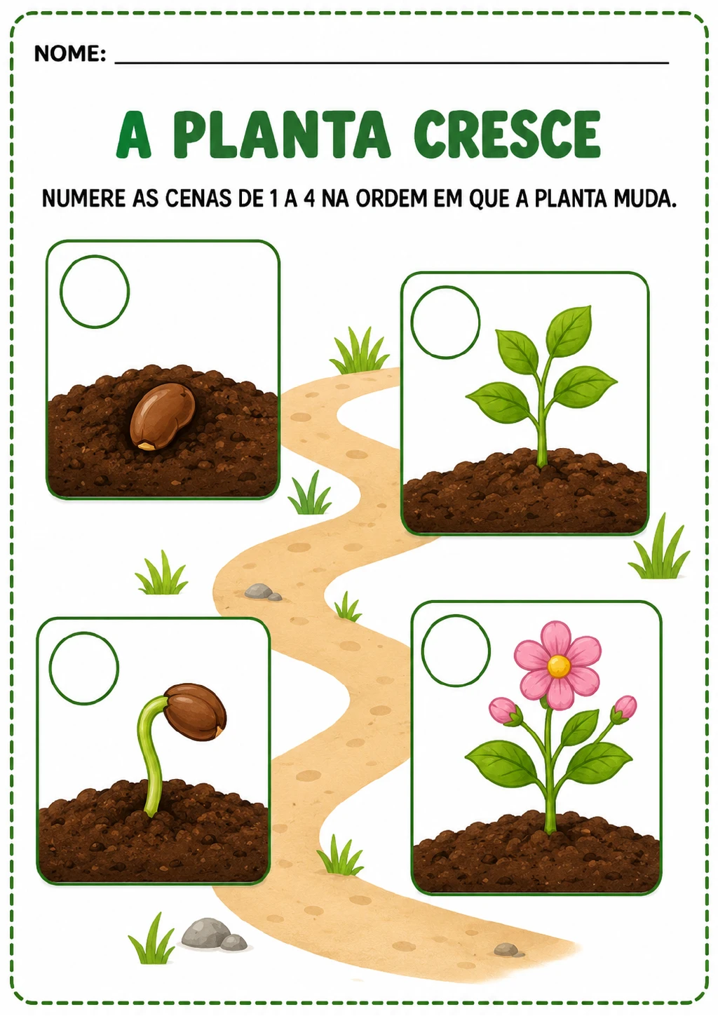 Quatro cenas com semente, broto, planta com folhas e planta com flor; cada quadro tem um círculo vazio para numeração.
