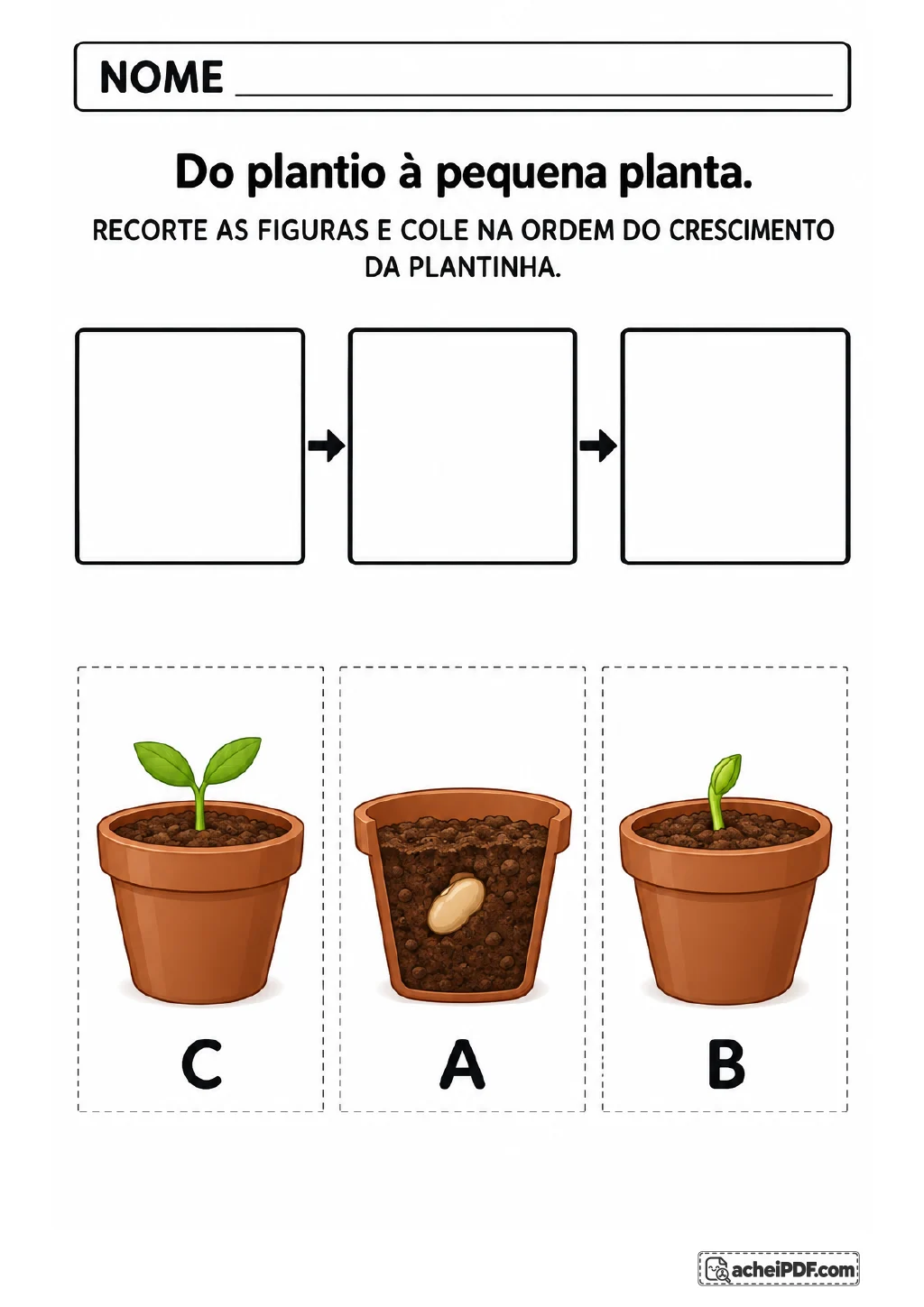 Três quadros vazios ligados por setas e cartões A, B e C com uma semente no vaso, um broto e uma planta jovem.