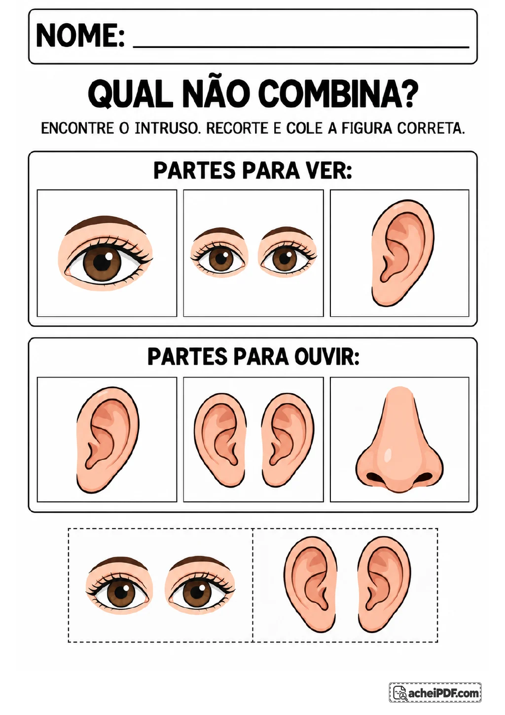 Dois grupos de cartões: “partes para ver”, com olho, olhos e orelha, e “partes para ouvir”, com orelha, orelhas e nariz.