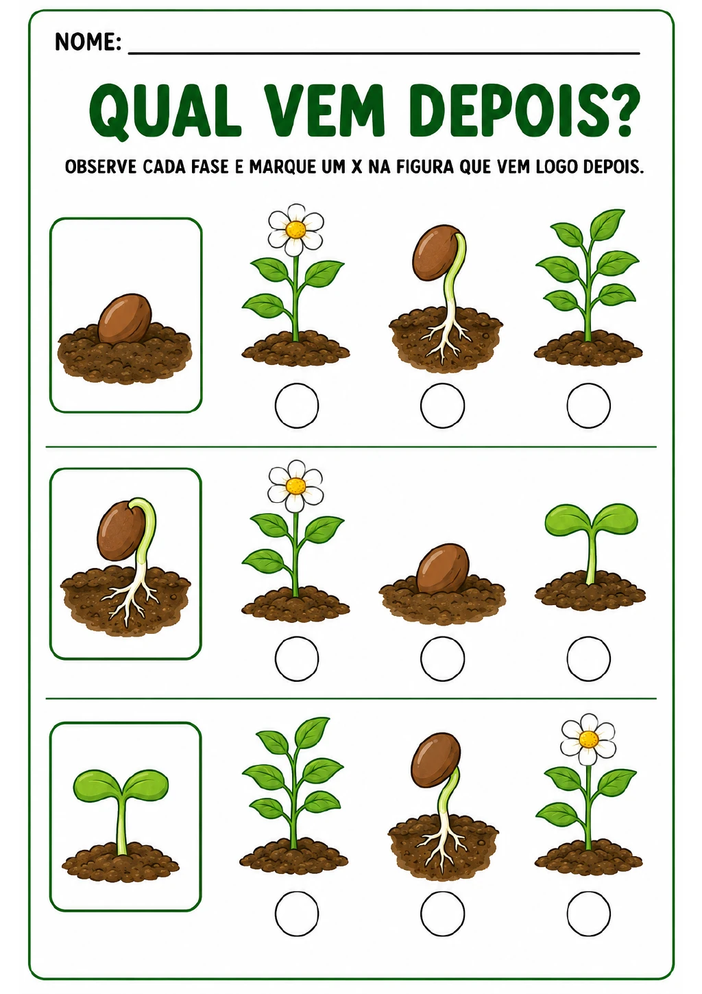Três questões de múltipla escolha com uma fase do crescimento da planta à esquerda.