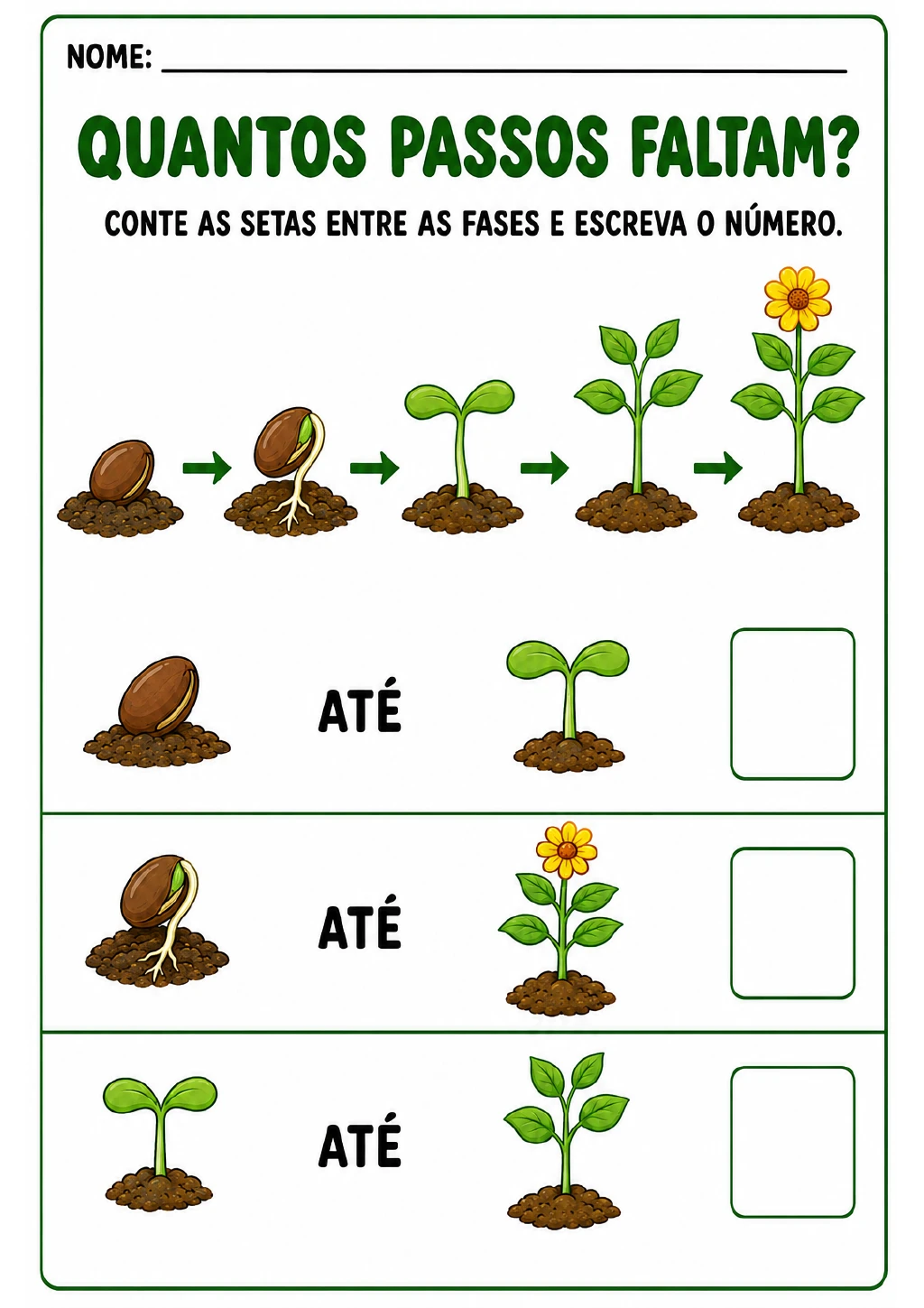 Sequência-modelo com semente, semente germinando, broto, planta com folhas e flor.