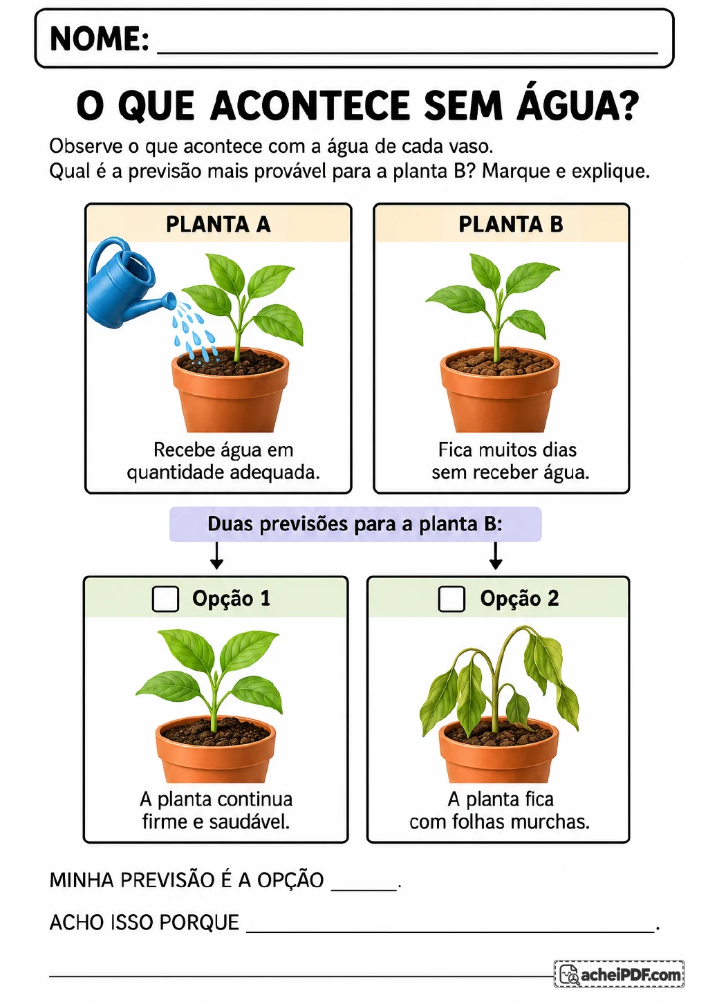 Planta A recebendo água e planta B em vaso, acompanhadas de duas opções ilustradas: uma planta saudável e outra.