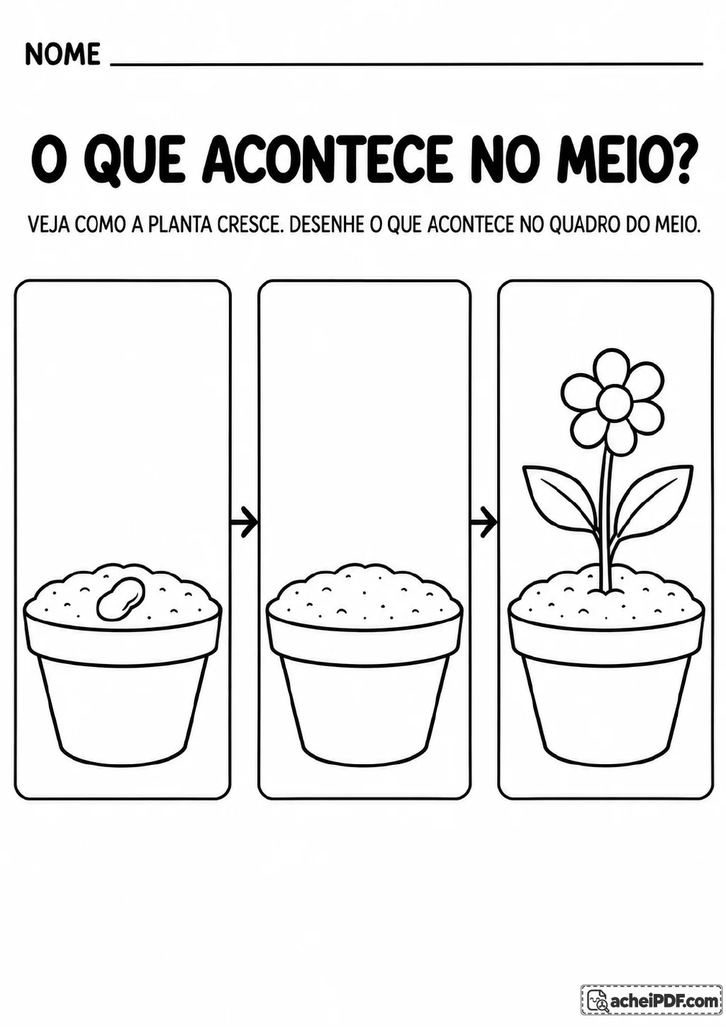 Três quadros ligados por setas: uma semente em um vaso, um quadro central vazio e uma flor crescida.