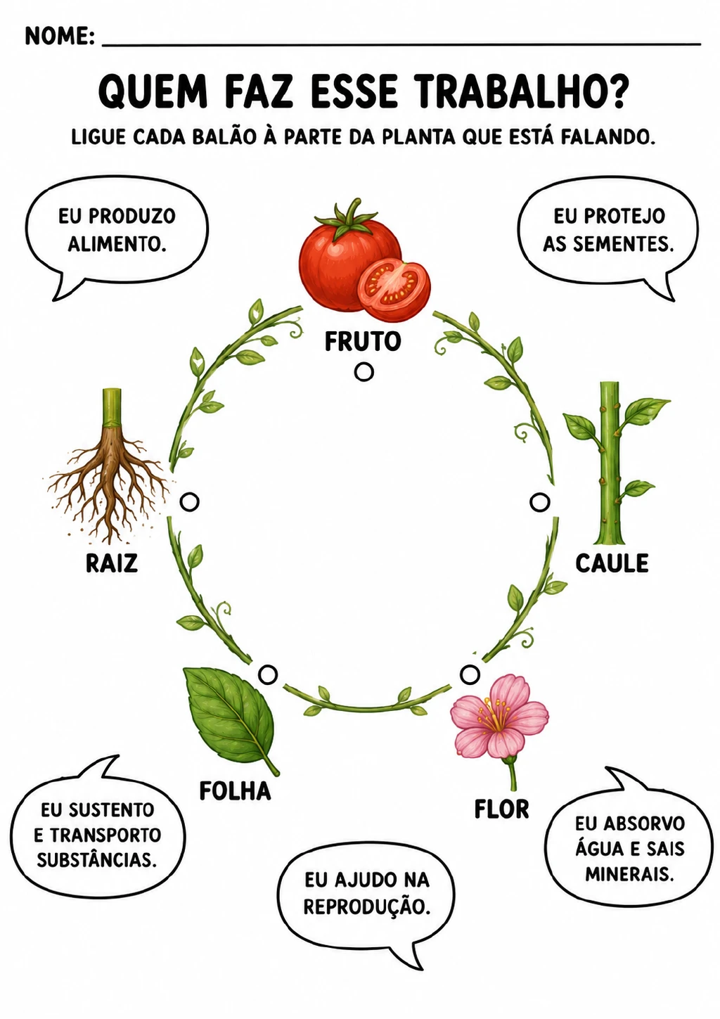 Raiz, caule, folha, flor e fruto representado por um tomate aparecem ao redor de balões de fala com funções da planta.