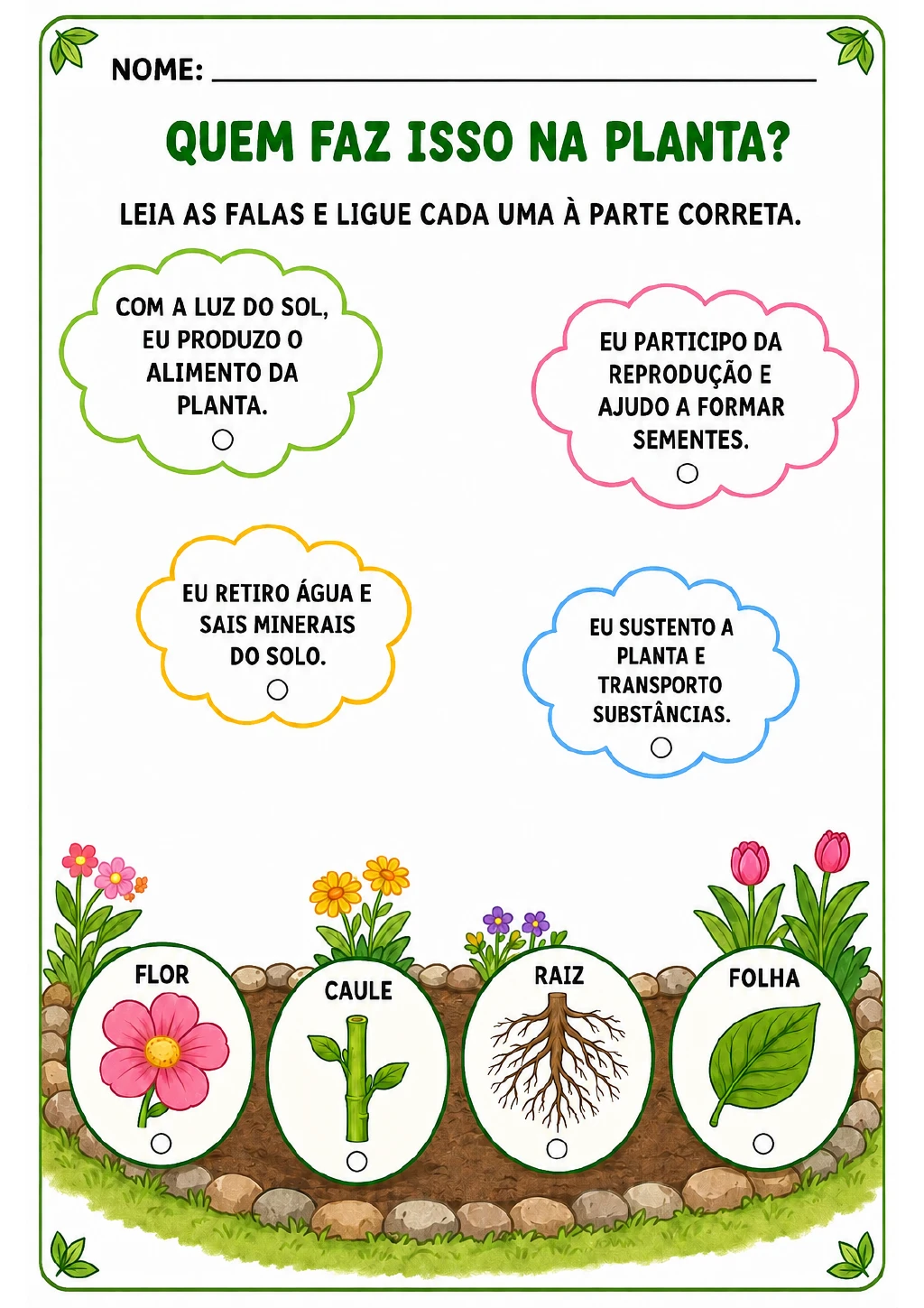 Quatro balões de fala com funções da planta e círculos de conexão aparecem acima das opções flor, caule, raiz e folha.
