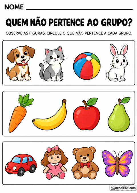 Três grupos em caixas contornadas: cachorro, gato, bola e coelho; cenoura, banana, maçã e pera; carro, boneca.