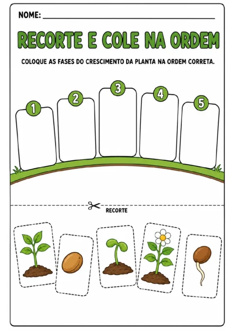 Cinco espaços numerados de 1 a 5 e cartões destacáveis com semente, semente germinando, broto, planta e flor.