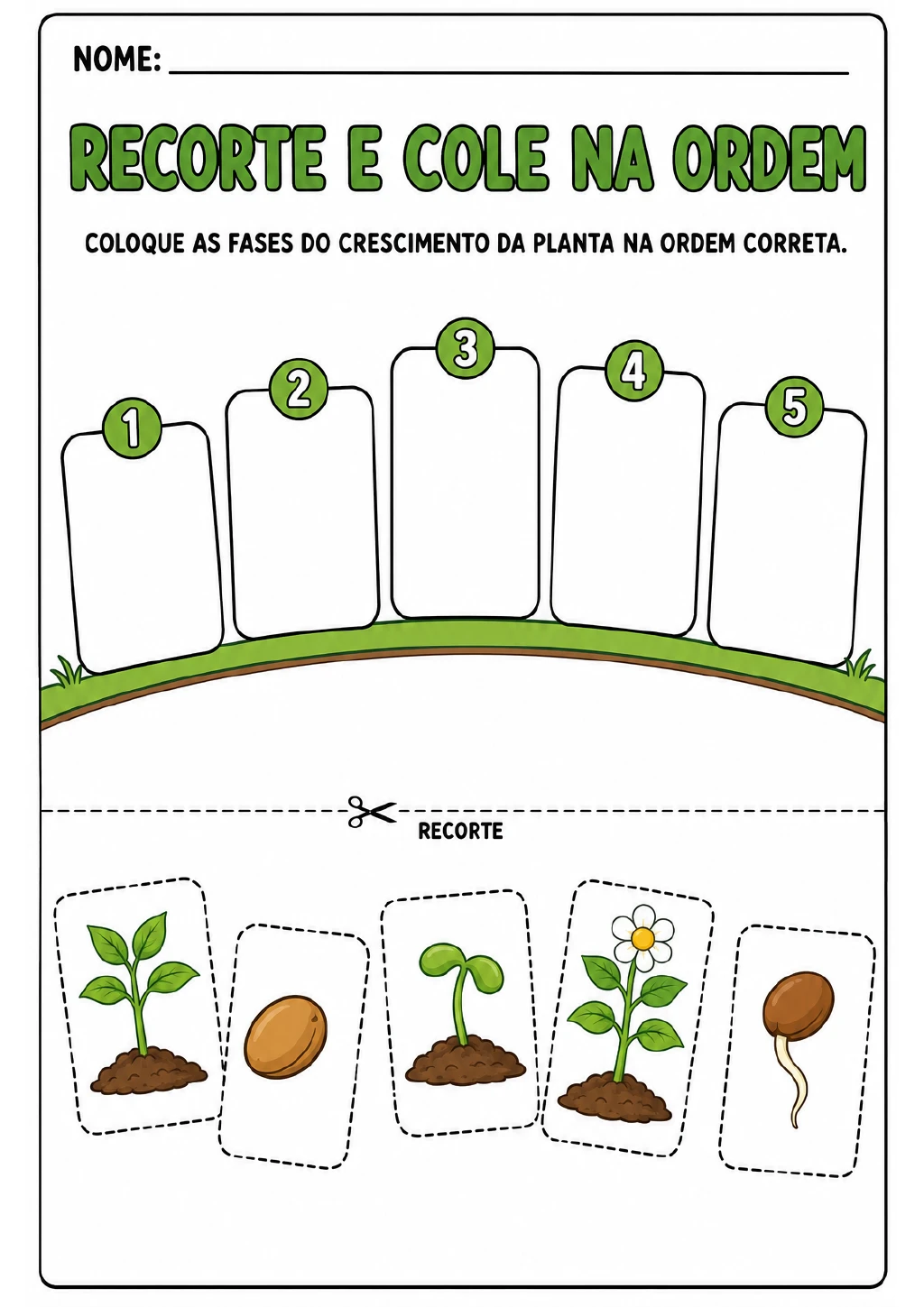 Cinco espaços numerados de 1 a 5 e cartões destacáveis com semente, semente germinando, broto, planta e flor.