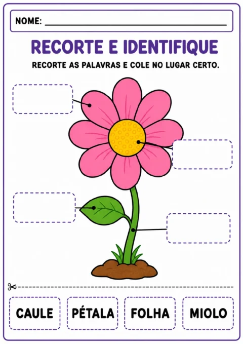 Flor com setas apontando para pétala, miolo, folha e caule, além de quatro etiquetas destacáveis com esses nomes.