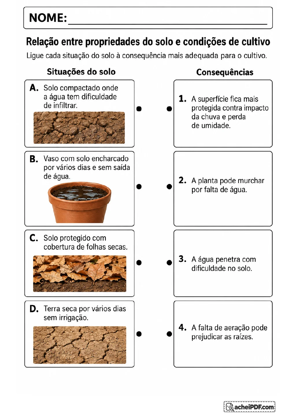Duas colunas para ligação entre situações do solo e consequências para o cultivo. Um lado traz solo compactado.